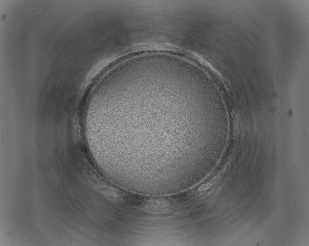 X0000076321215200610061402