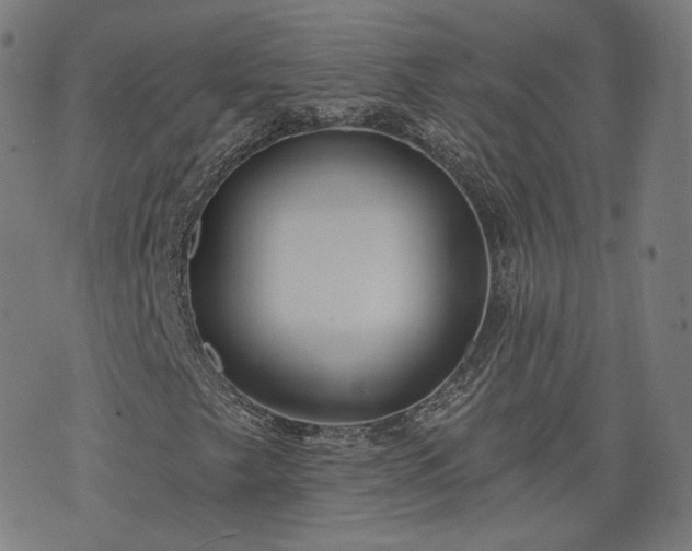 X0000076321249200610061401