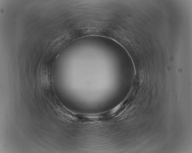 X0000076321250200610061401