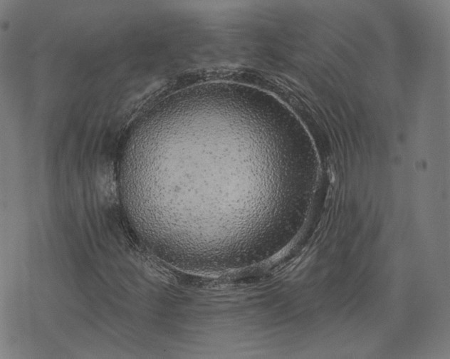 X0000076321252200610061401