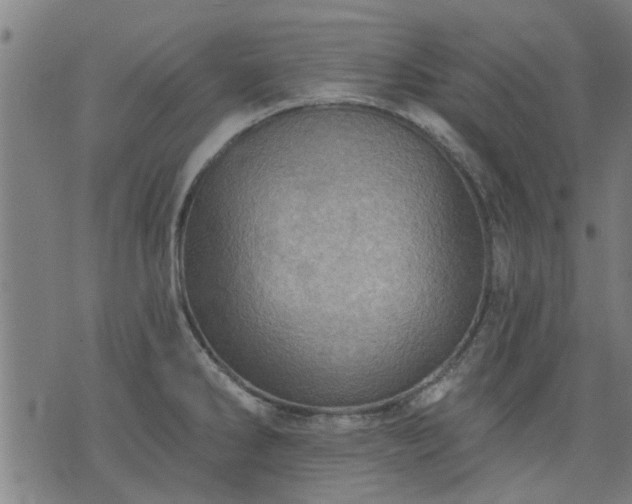 X0000076321286200610061401
