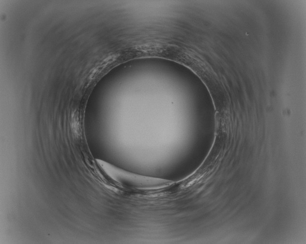 X0000076321298200610061400