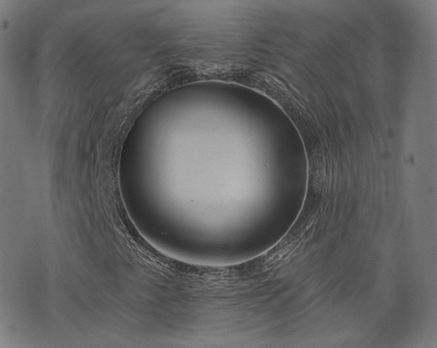 X0000076321345200610061400
