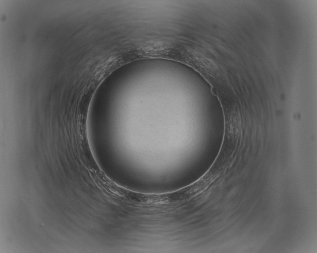 X0000076321346200610061400