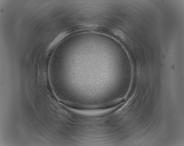 X0000076321354200610061400