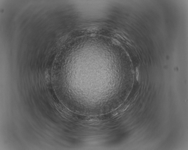 X0000076321395200610061358