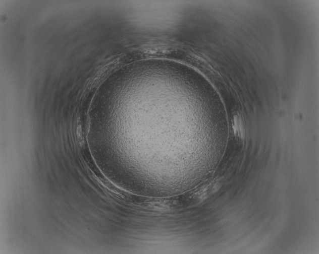 X0000076321396200610061358