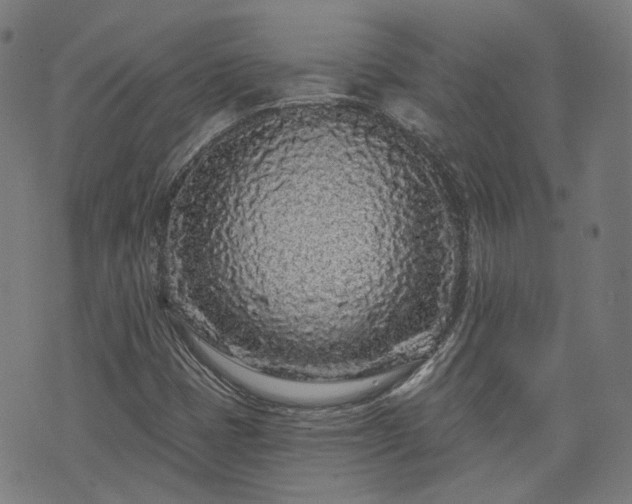 X0000076321401200610061358