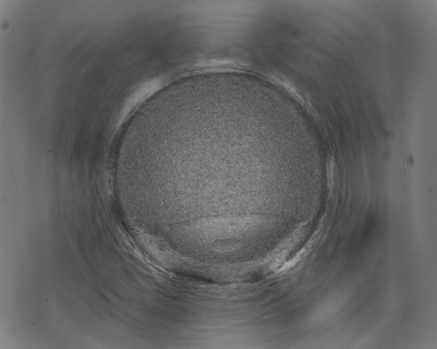 X0000076321405200610061359