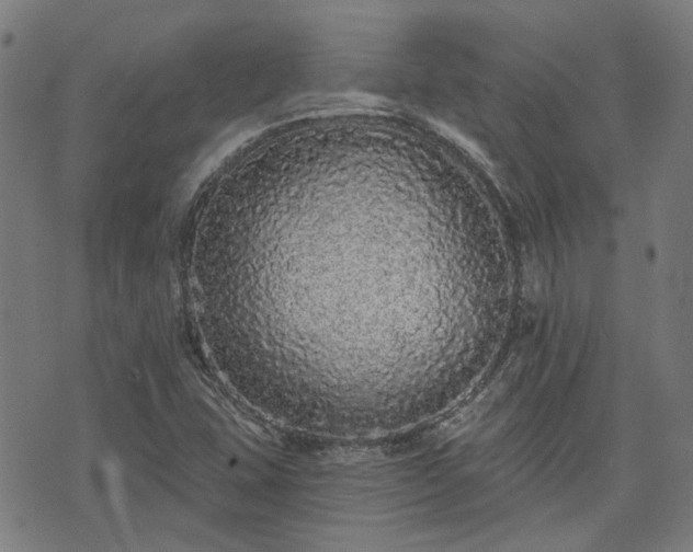 X0000076321407200610061359