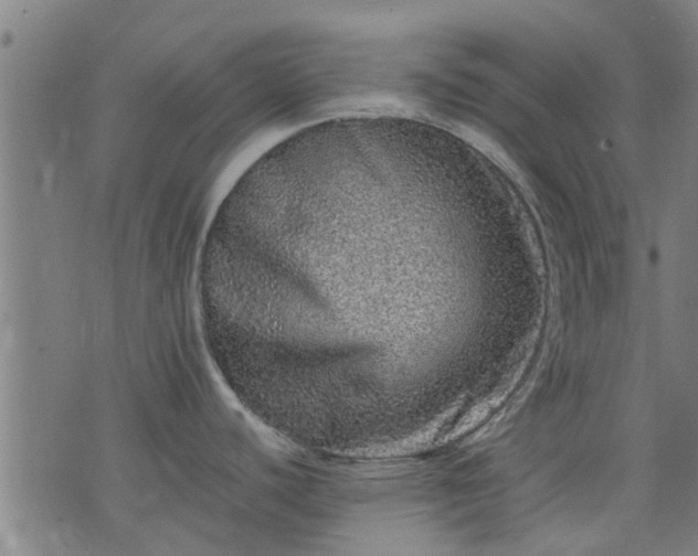 X0000076321440200610061359