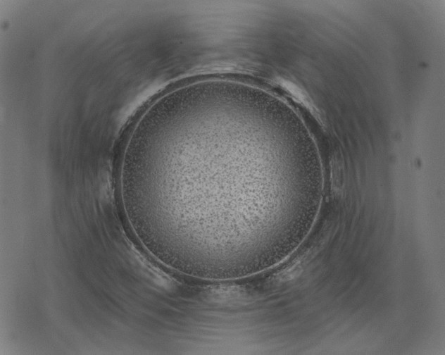 X0000076321452200610061358