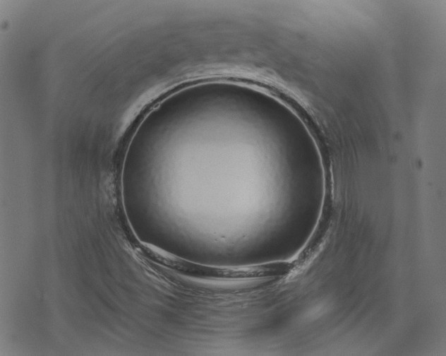 X0000076321501200610061357