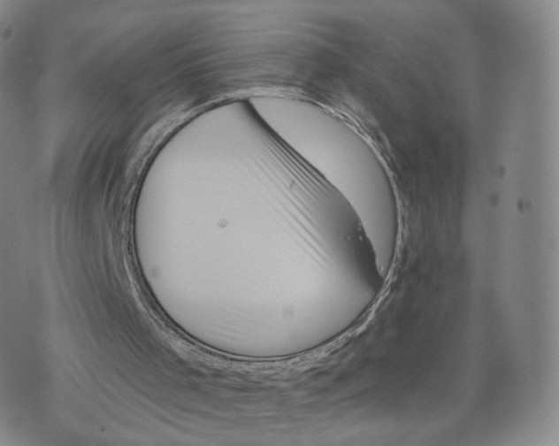 X0000076320001200610161655