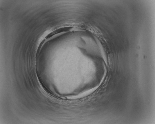 X0000076320003200610161655