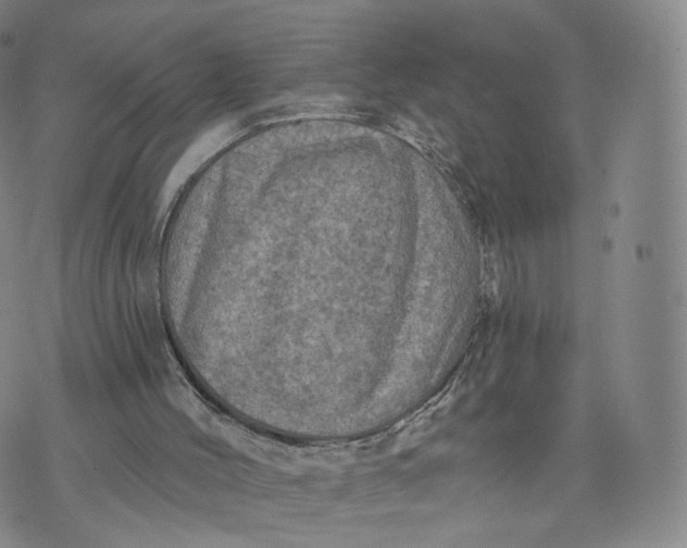 X0000076320004200610161655