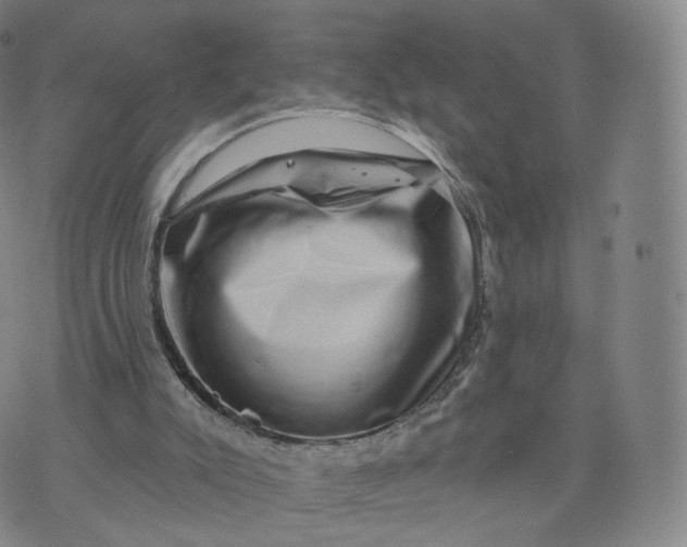 X0000076320007200610161655