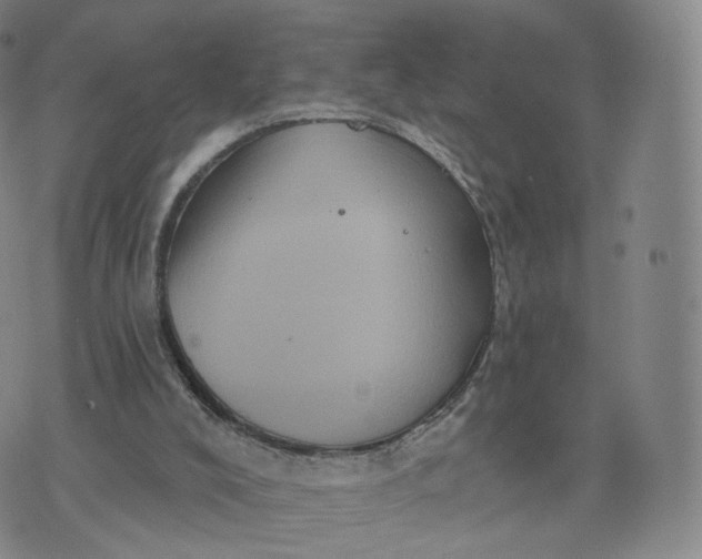 X0000076320008200610161655