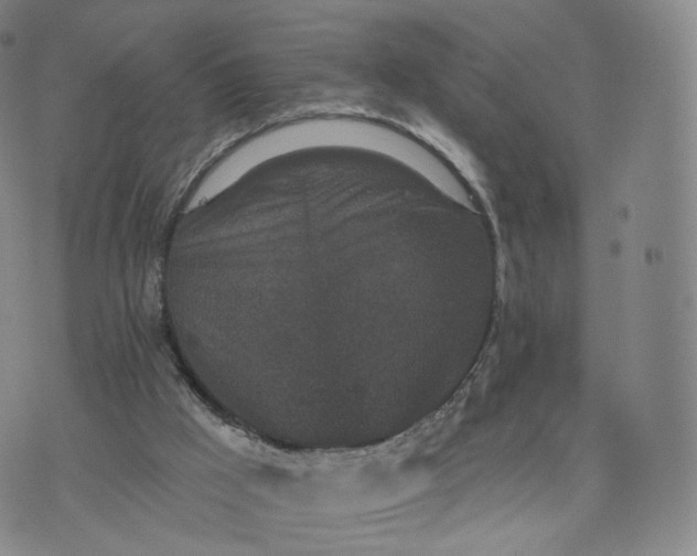 X0000076320009200610161655