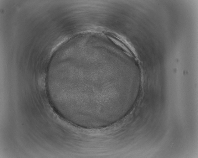 X0000076320010200610161655