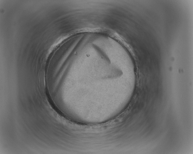 X0000076320011200610161655