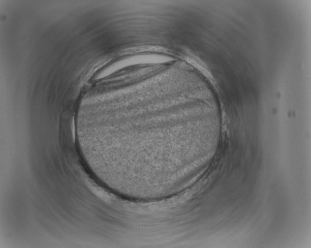 X0000076320013200610161655