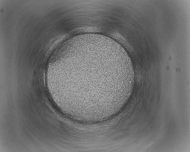 X0000076320014200610161655