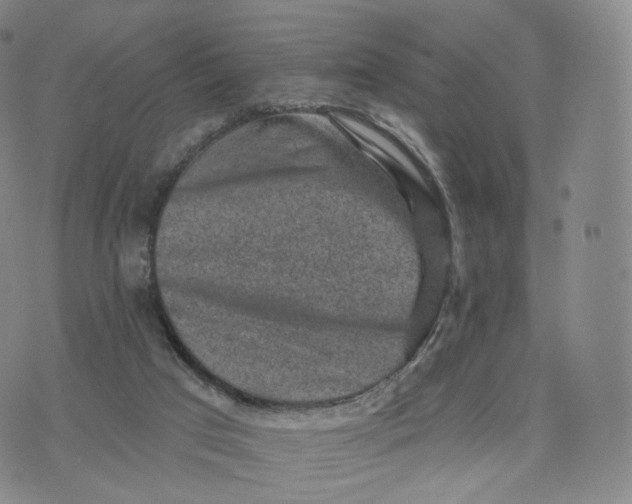 X0000076320017200610161655