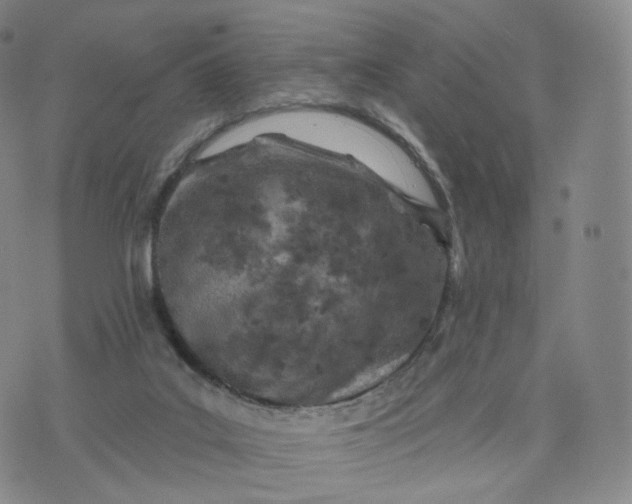 X0000076320019200610161655