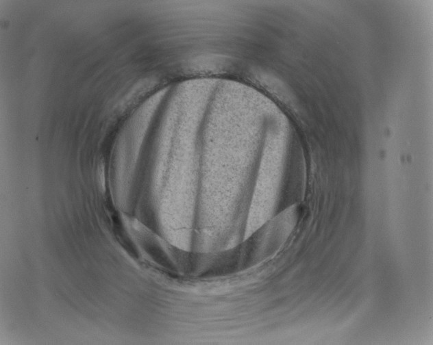 X0000076320021200610161655