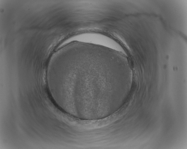 X0000076320023200610161655