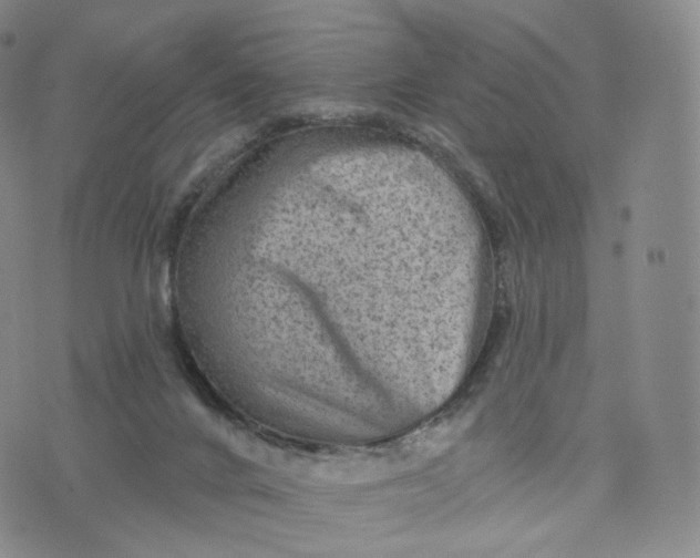 X0000076320024200610161655