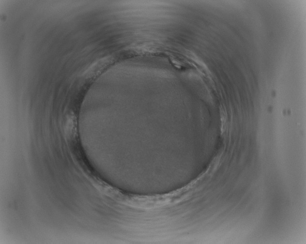 X0000076320029200610161655