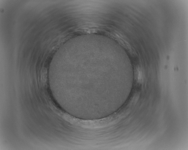 X0000076320030200610161655