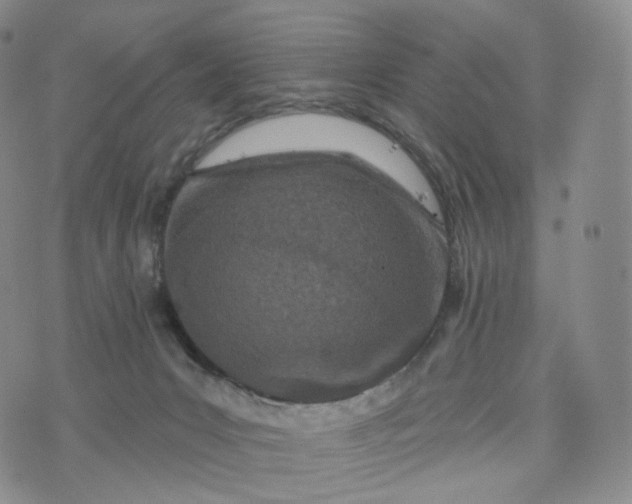 X0000076320031200610161655