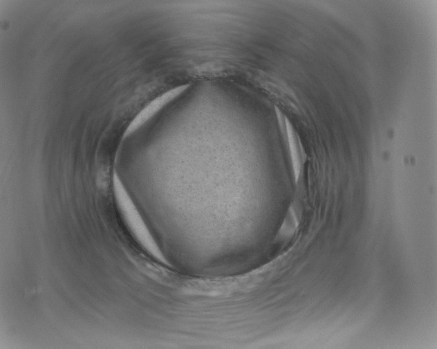 X0000076320033200610161655