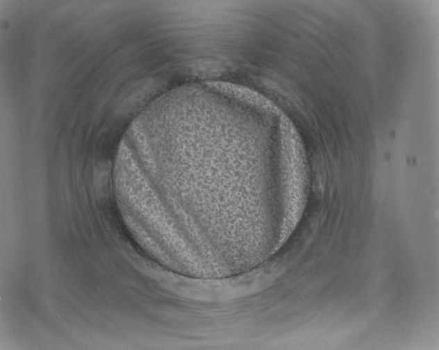 X0000076320034200610161655