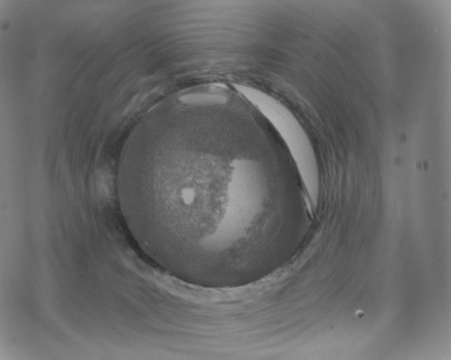 X0000076320035200610161655