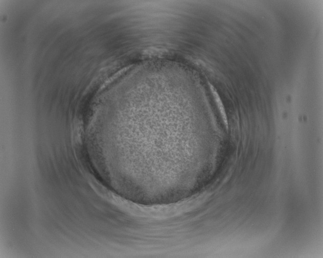 X0000076320038200610161655