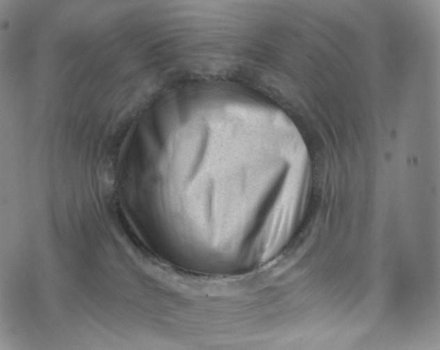 X0000076320040200610161655