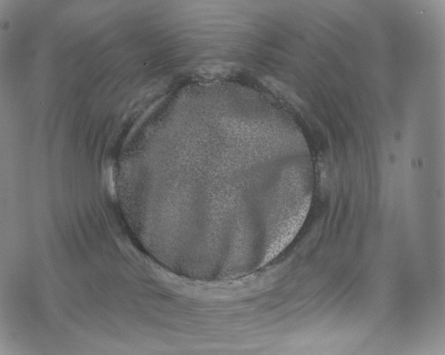 X0000076320042200610161655