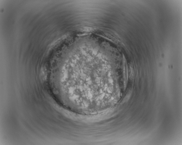 X0000076320043200610161655