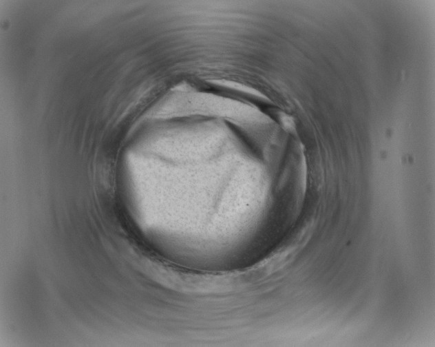 X0000076320044200610161655