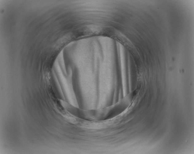 X0000076320045200610161655