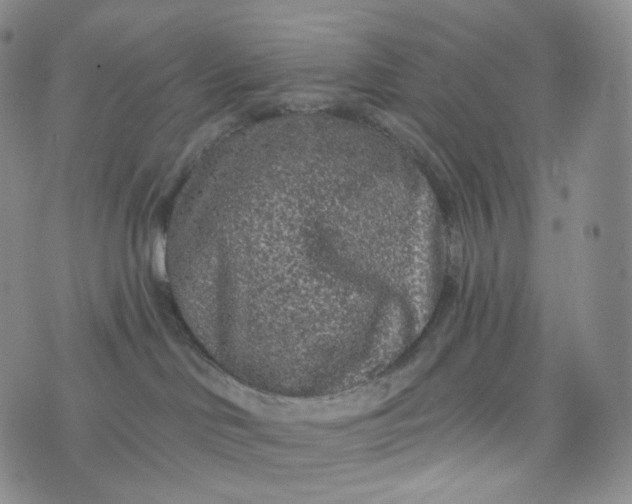 X0000076320046200610161655