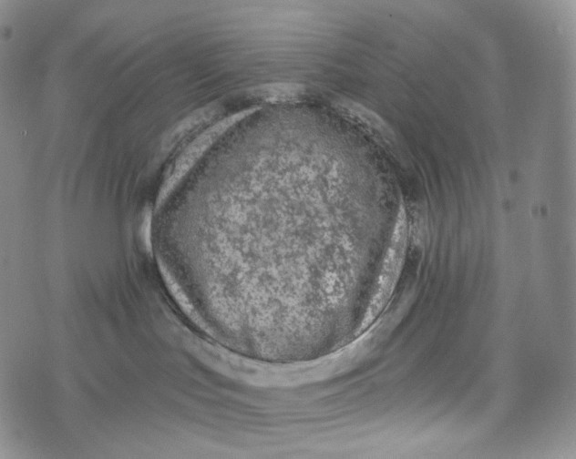 X0000076320047200610161655