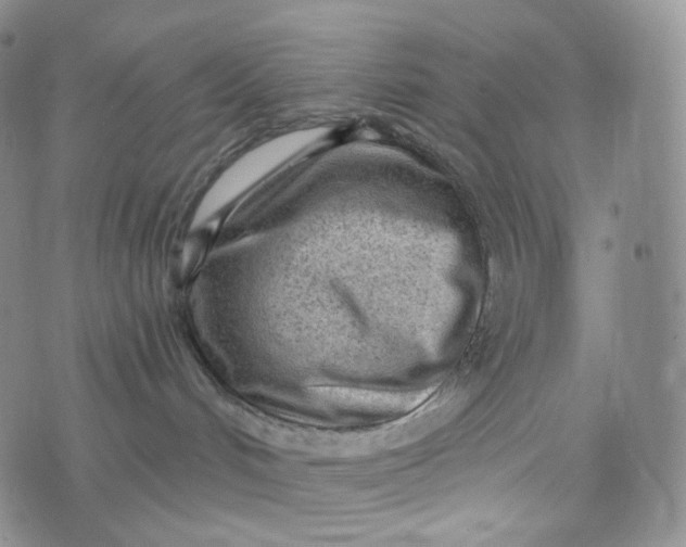 X0000076320048200610161654