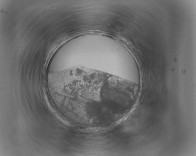 X0000076320049200610161654