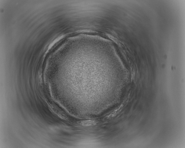 X0000076320050200610161654