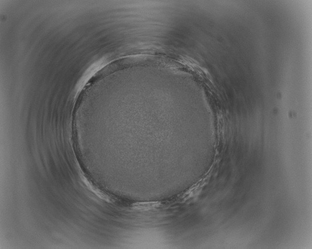 X0000076320051200610161654